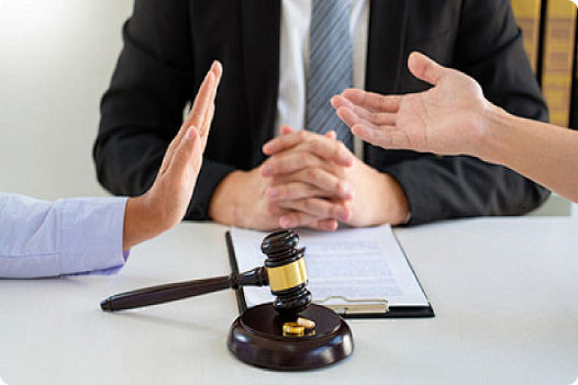 Disputes and Litigation